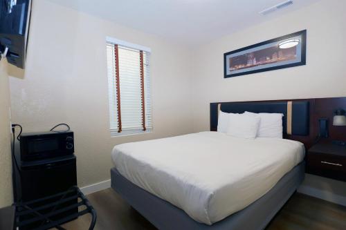Queen Room Interior