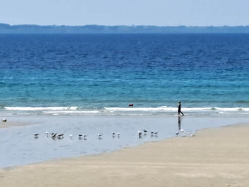 Surrounding environment, Holiday Home in Telgruc-sur-Mer by Sandy Beach in Crozon