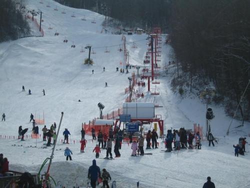 Above the Tree Tops (#49) Holiday home - image 14