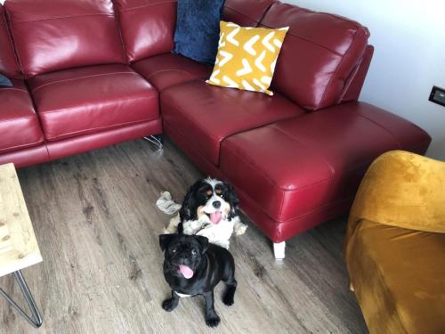 4 Bed in Westward Ho 74997, Westward Ho (foto 8)