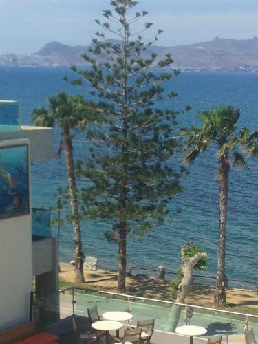 Bristol Sea View Apartments - image 6