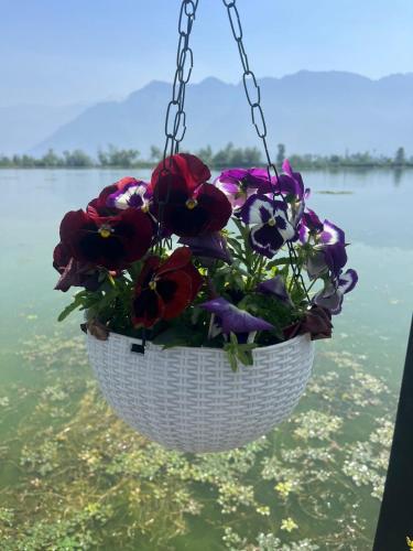 Double Room with Lake View image 6