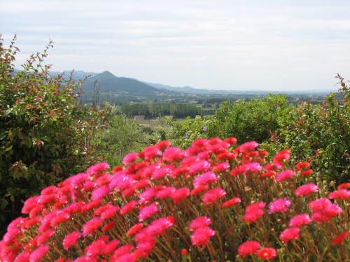 B&B La Cigaline