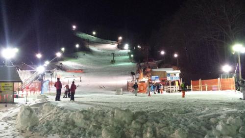 Diamond Mine – Gatlinburg, TN