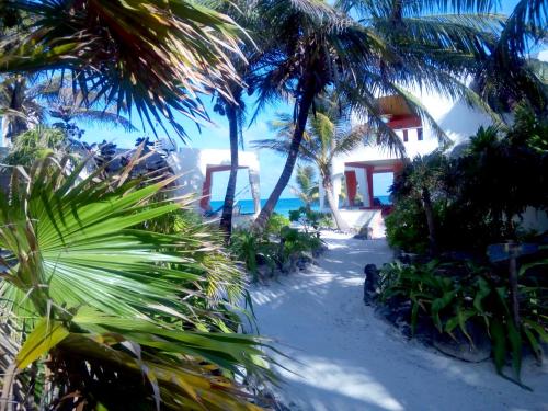 Mayan Beach Garden - 숙소 외관