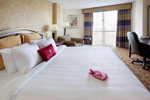 Country Inn & Suites by Radisson, Austin North