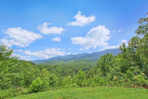 Bearfoot Memories Holiday home - image 12