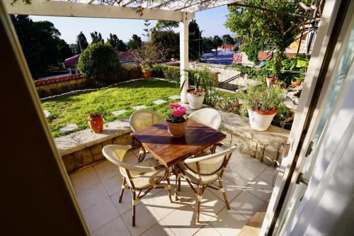 Cumbalıca Flora in Celal Bayar