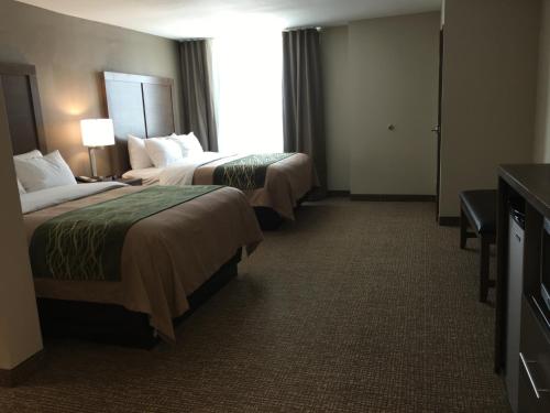 Comfort Inn & Suites Snyder