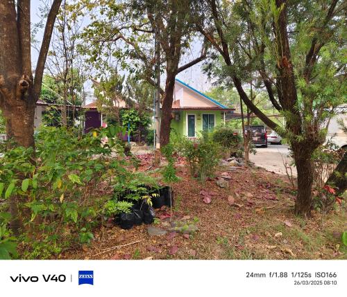 ไดซูแนลรีสอร์ท in Nong Kom Ko