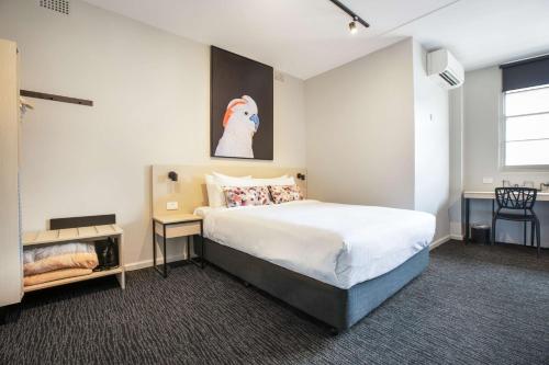 Nightcap at the Charles Hotel Room Type - Studio With Queen Bed