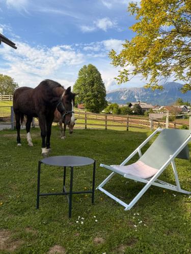 Apartments-Rooms Kocijancic - image 7