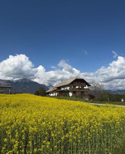 Photo - Apartments-Rooms Kocijancic