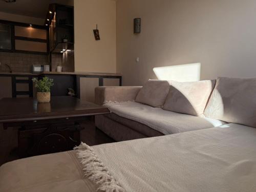Home by the Sea, Burgas (fotografie 5)