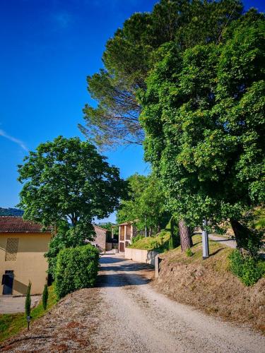 PODERE PIANA - Pieve di Sant'Andrea