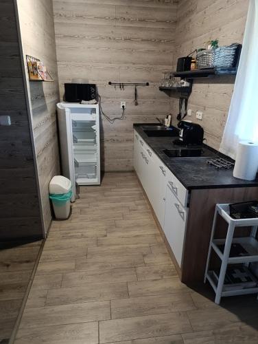 keuken, Chaty u rybníka (Chaty u rybnika) in Nove Veseli