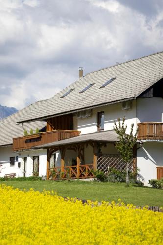 Apartments-Rooms Kocijancic - image 6