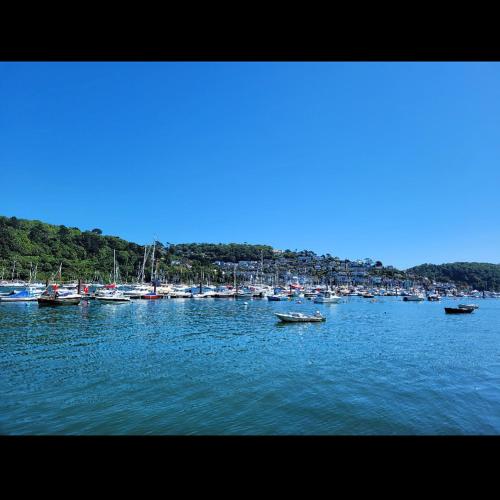 المنطقة المحيطة, The Floating Bridge in Dartmouth City Center
