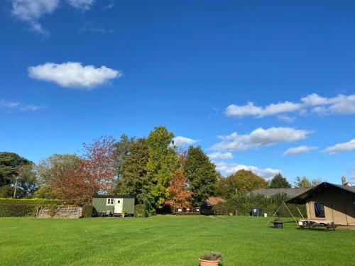 Dawn Chorus Holidays