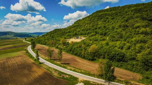 Apkārtne, Wild Wood Transilvania in Apold