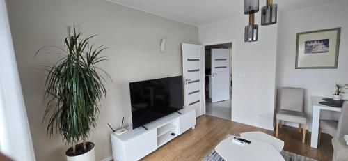 Apartament z widokiem na Sky Tower, Breslau (Foto 6)