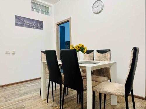 티미쇼아라 Joy City Stay Nemoianu 13A-8 4성급 싱글룸 부대시설