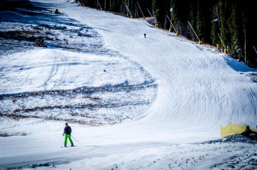 Ski Tip #8716 - image 5