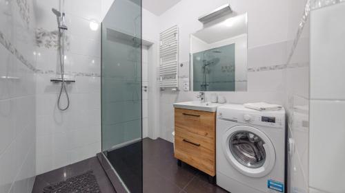 Two-Bedroom Apartment image 4