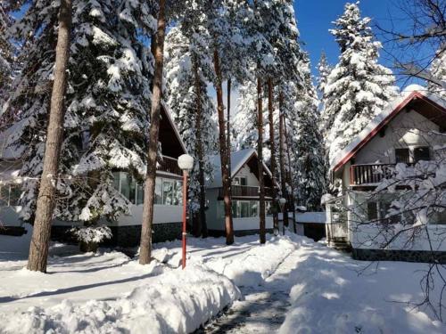 Вилно селище Тракия- почивка сред природата, Tsigov Chark (Foto 3)