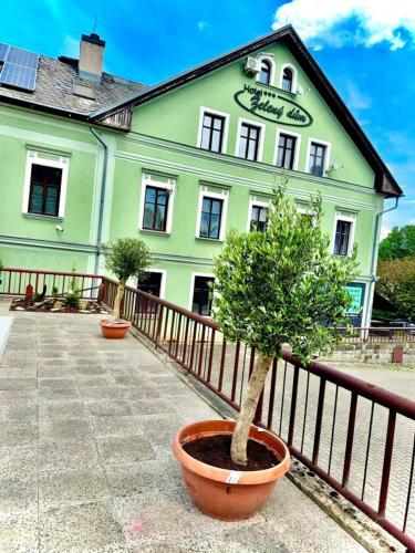 Hotel Zelený dům - Dolní Poustevna