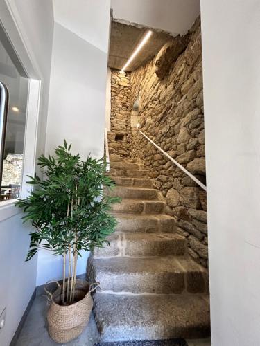 Pensión do Catro (Pension do Catro) in A Pobra De Trives