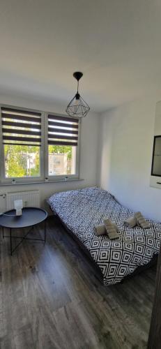 Apartament Zdrojowy