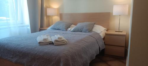 Double Room room in Willa Weneda