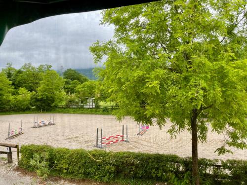 Agriturismo al Ranch - image 11