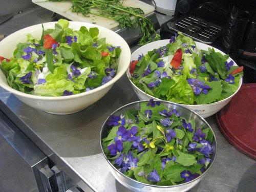 Létesítmények, Le Peche de Paresse in Saint-Agreve