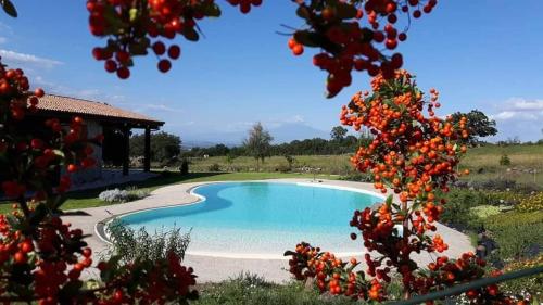 Tenuta Soria Location immersa nel verde con piscina privata gîte à louer Francofonte