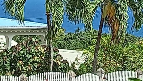 Bungalow charmant à Capesterre-Belle-Eau, 35 m², piscine (Bungalow charmant a Capesterre-Belle-Eau, 35 m², piscine) in Capesterre-Belle-Eau