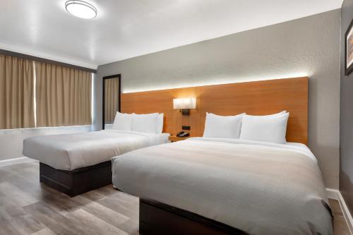Clarion Inn and Conference Center Tampa-Brandon - image 13
