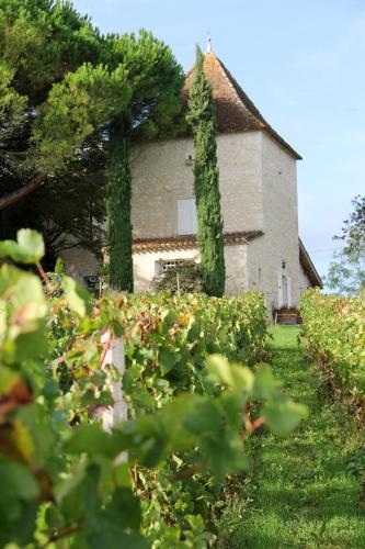 Viesnīcas āriene, Dovecote of Château Hostens-Picant (Dovecote of Chateau Hostens-Picant) in Les Lèves-et-Thoumeyragues