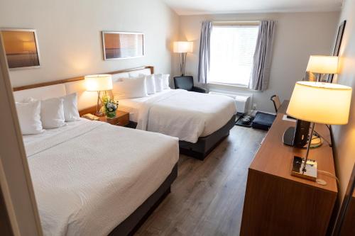 Iris Hotel Cape Cod