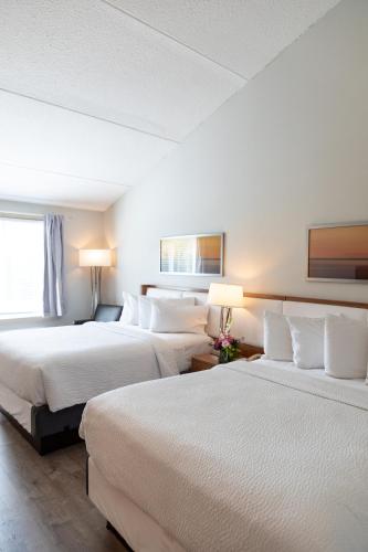 Iris Hotel Cape Cod