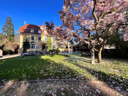 Hotel Restaurant Du Parc hotel Thann