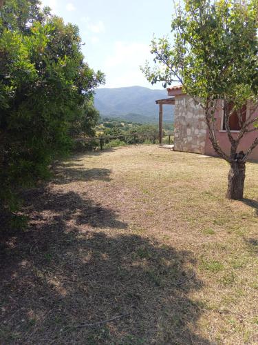 Camera twin, vista sul giardino