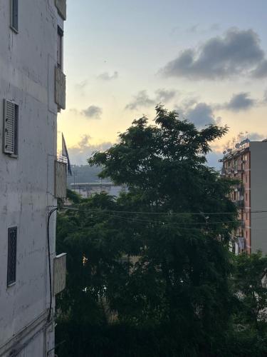 Casa vacanze Cretella, Naples (photo 3)