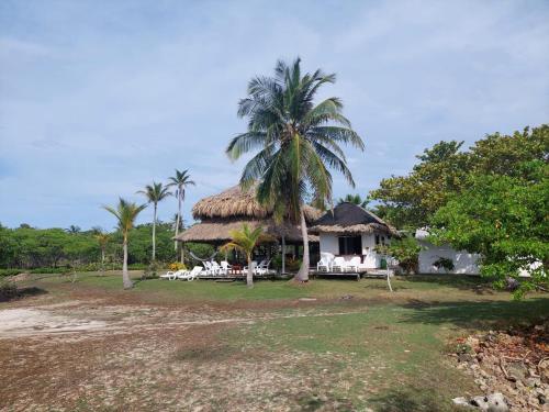 Cabaña ecológica frente al mar en isla fuerte (Cabana ecologica frente al mar en isla fuerte) in Isla Fuerte