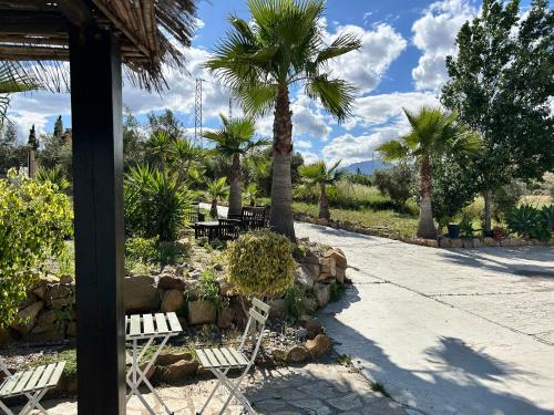 Victoria & Olivar gîte à louer Sierra de Gibralgalia