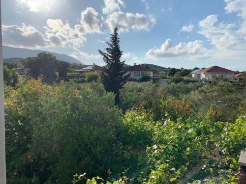 Skats, Marko Apartment in Sreser