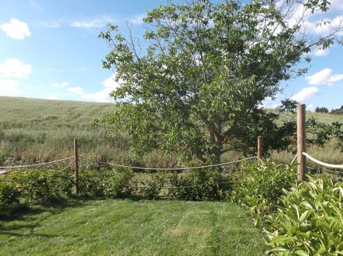 Camera doppia, vista sul giardino