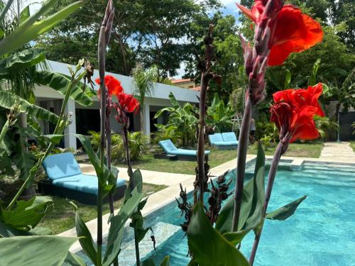 Hotel Good Life in 코코