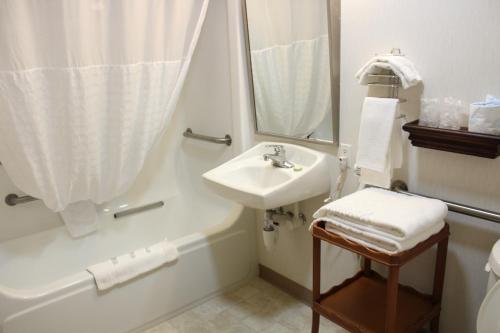 American Inn and Suites Ionia - image 12